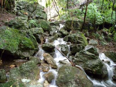 雨上がりの鎮南山を歩く_e0272335_2122132.jpg