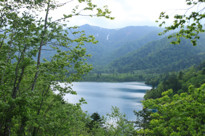 d0055236_9371357.jpg