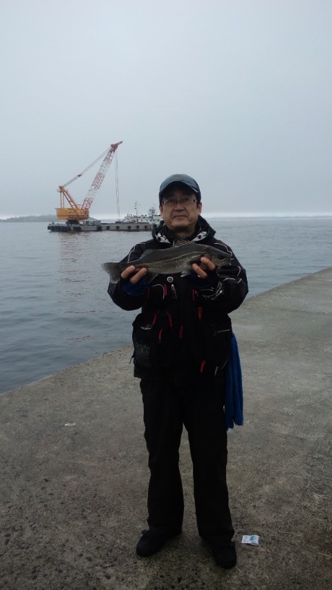-_b0128238_71773.jpg