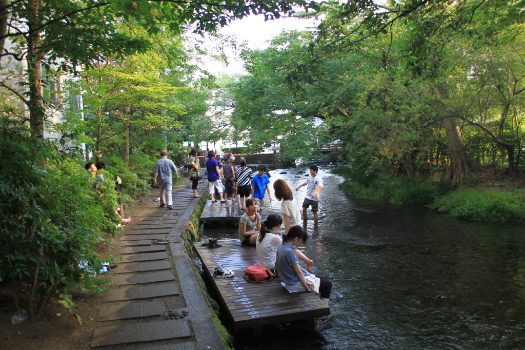 源兵衛川の衝撃_f0206739_11401978.jpg