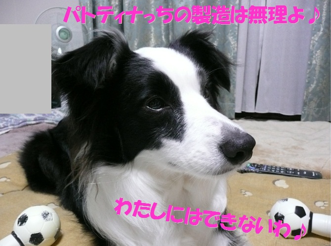 c0147241_2151492.jpg