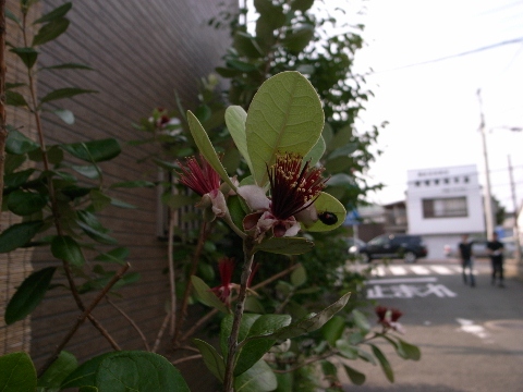 e0138549_16491100.jpg