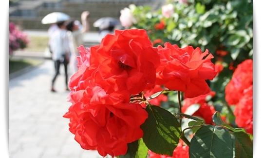 須磨へ_c0049950_23134251.jpg