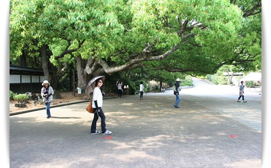 須磨へ_c0049950_23262720.jpg