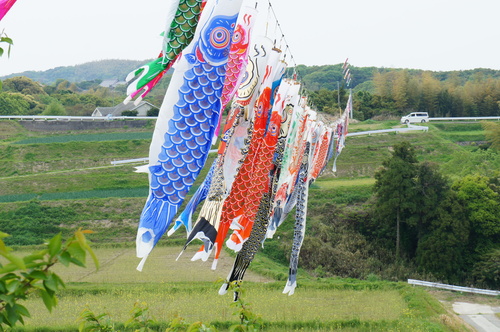 d0226154_2215564.jpg