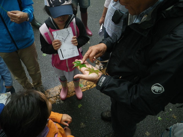 富士山麓山の村　観察会_f0155954_1939499.jpg