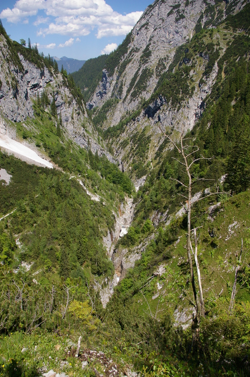 b0175255_17304771.jpg