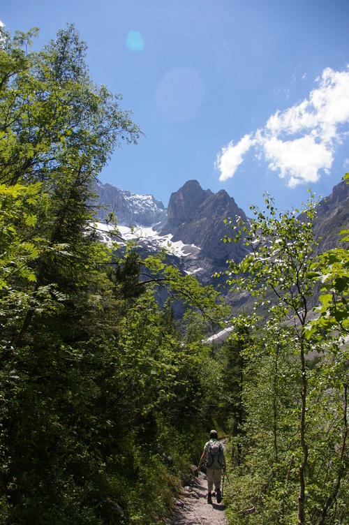 b0175255_17323530.jpg