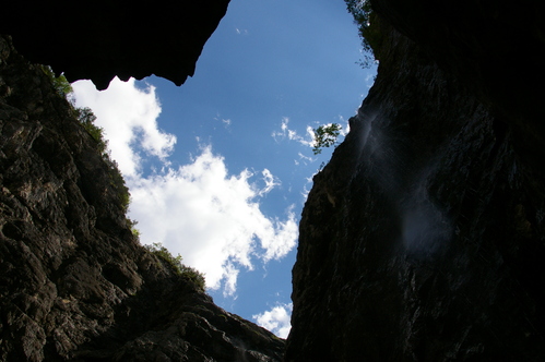 b0175255_17475448.jpg