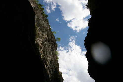 b0175255_1753447.jpg