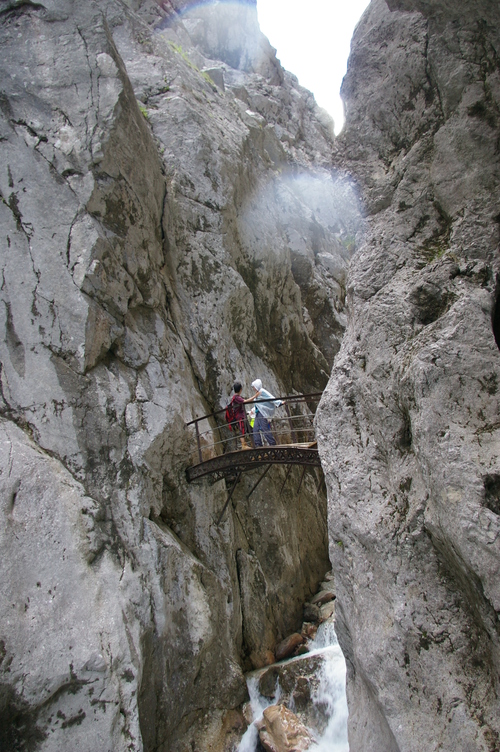 b0175255_1754541.jpg