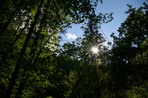 b0175255_1812727.jpg