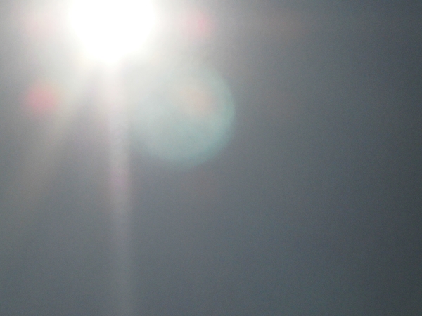 a0174458_79026.jpg