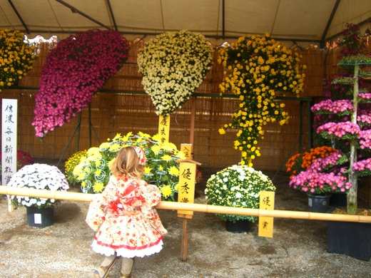 d0258462_15323270.jpg