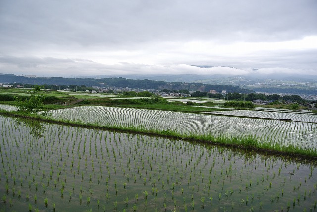 雨の日もやはり山梨県ですネ！_b0110263_2393825.jpg