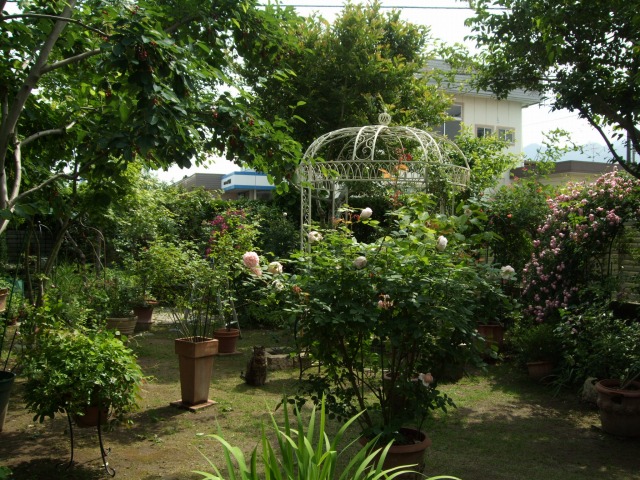 b0117564_1924125.jpg