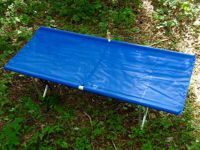 Camp Time Roll A Table