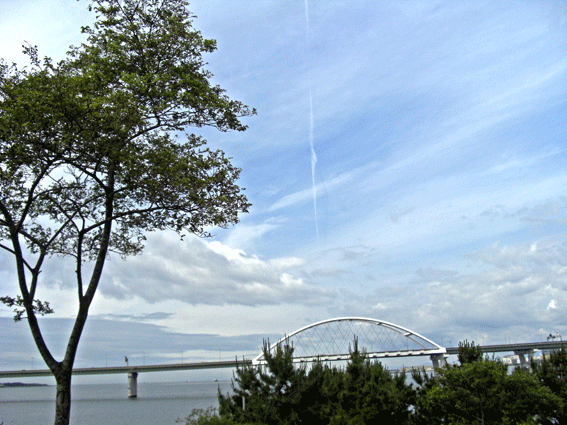 c0095679_15592142.gif