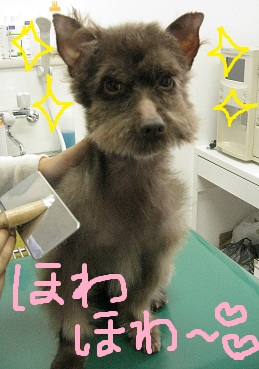 シャンプー☆梅雨入りキャンペーン☆_c0245679_19161844.jpg