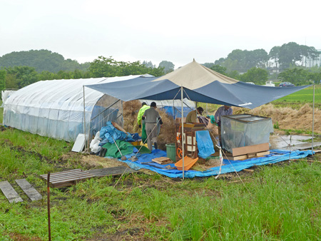c0145581_8484485.jpg
