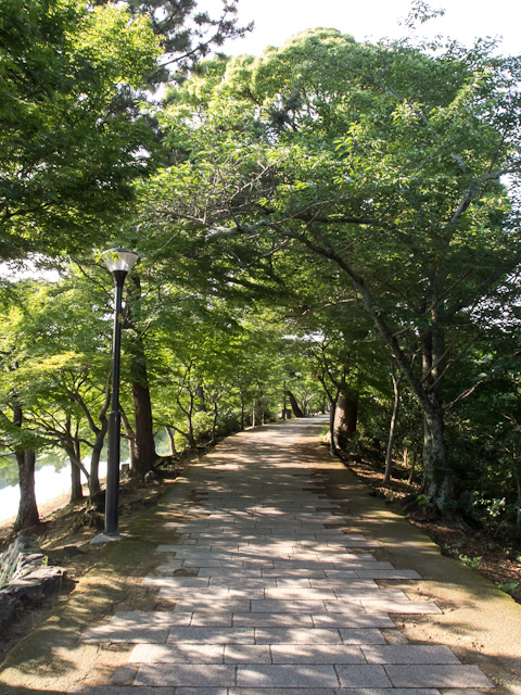 c0180881_2073199.jpg
