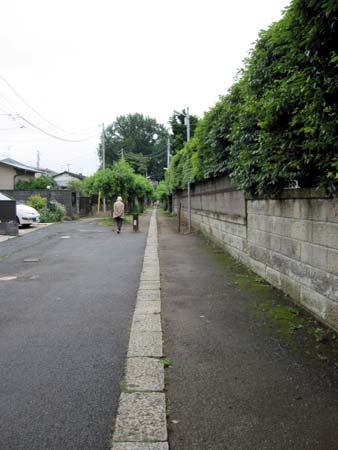 d0085887_544442.jpg