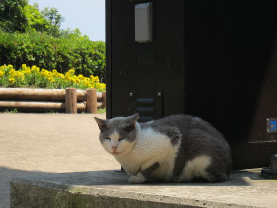 2012.05.29[神奈川] 鎌倉_d0127188_13572872.jpg