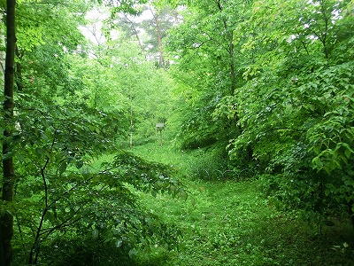 e0222588_17361749.jpg