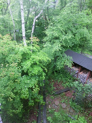 e0222588_17364180.jpg