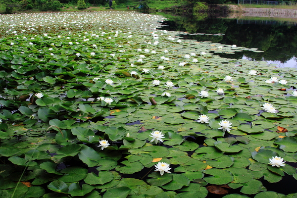 b0236595_73347.jpg