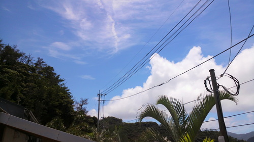 a0226396_13224751.jpg