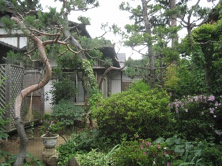 d0074596_14291428.jpg