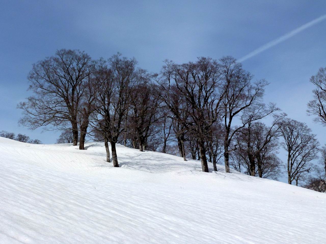 笈ヶ岳－登山道がない残雪期に登る秘境の峰（２日目）_e0110500_0103415.jpg