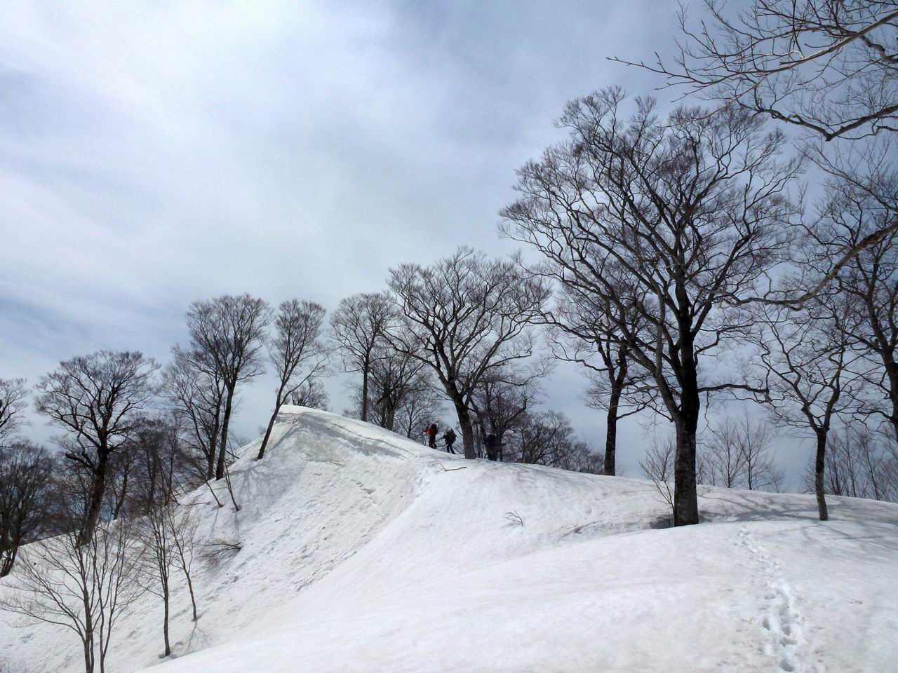 笈ヶ岳－登山道がない残雪期に登る秘境の峰（２日目）_e0110500_0214137.jpg