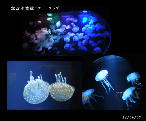 山形へ (3)_c0051105_2181396.jpg