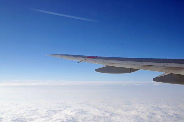 e0138005_0145034.jpg