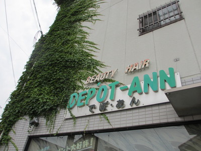 ツルが伸びてきた_e0150006_18311878.jpg