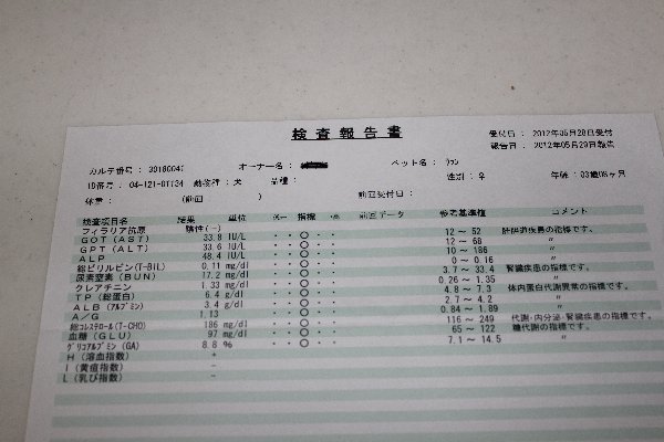 健康診断の結果　６月１８日（月）_b0073110_16355939.jpg