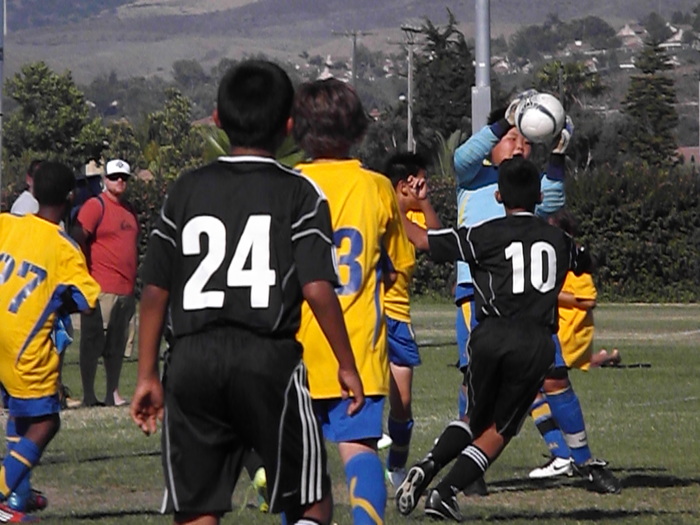 a0144811_13392988.jpg