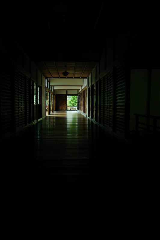 青葉巡り・南禅寺 其の二_f0032011_19385315.jpg