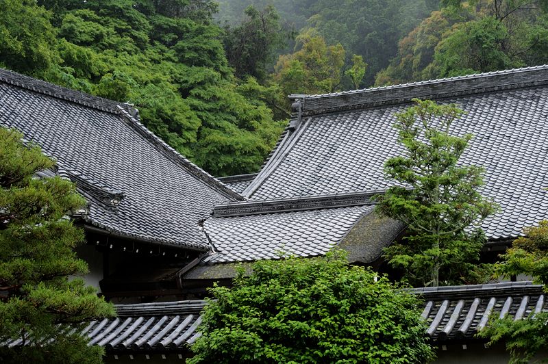 青葉巡り・南禅寺 其の二_f0032011_19404513.jpg