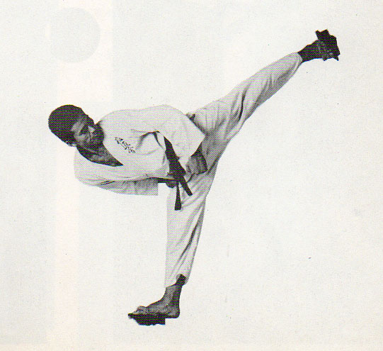 極真会館 第4回全世界空手道選手権大会 : 実戦カラテ 大阪拳友会