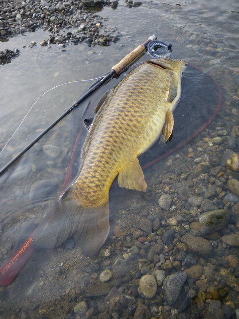 c0202727_22555230.jpg