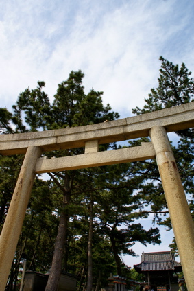 あじさい神社_f0151327_9521284.jpg