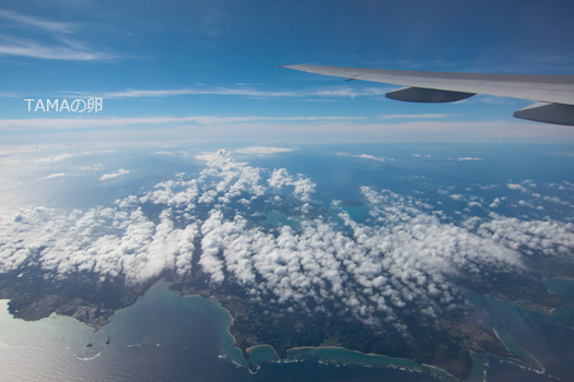 c0024729_20475769.jpg