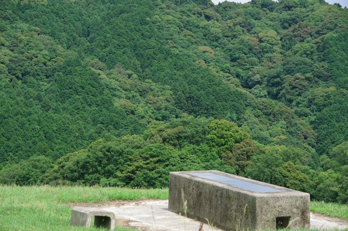 梅雨の晴れ間_d0032931_049676.jpg