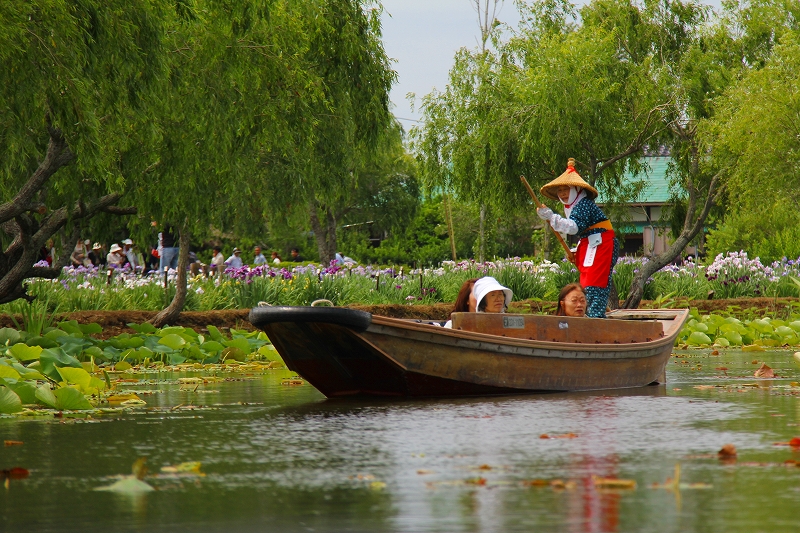 水郷佐原水生植物園　(その１)_f0229832_1454832.jpg