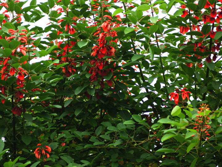 d0241937_13395625.jpg