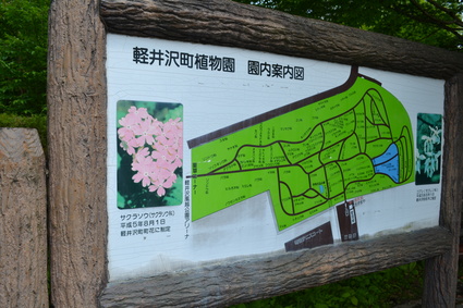 軽井沢町植物園 12 6月 楽しいことさがし 軽井沢町植物園 12 6月 楽しいことさがし