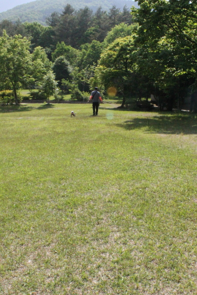 d0175746_954546.jpg